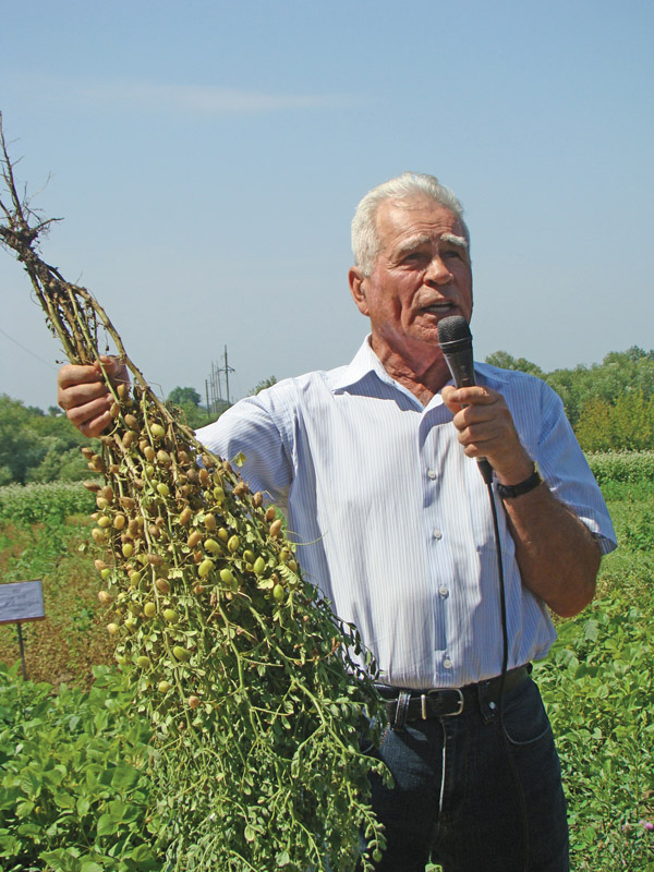 В'ячеслав Січкар демонструє рослину нуту сорту Розанна